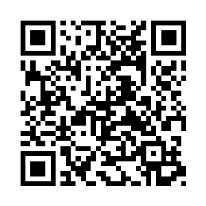 莫胖子和安妮可不是与自己的妈妈打了个赌二维码生成