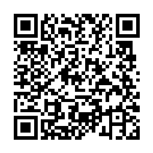 莫胖子是并不赞成对港通市进行任何实质性的投资的二维码生成