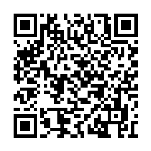 莫要看这次是他主动邀请吴岩来助他夺取龙宫的二维码生成