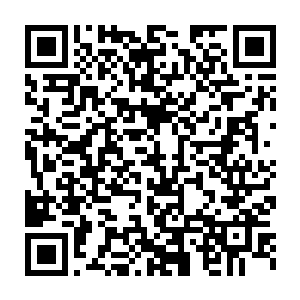 莫非你们真以为就凭你们五位天仙就能与我青蛇殿和赤蛇殿抗衡吗二维码生成