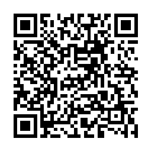 莫非只是想因这点鸡毛蒜皮的小事而挑起两族大战二维码生成