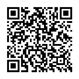 莫非就是你所说的刚加入我们圣王殿的十五圣王二维码生成