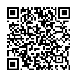 莫非拉达曼迪斯便是用这种东西重创了楚旬等人二维码生成