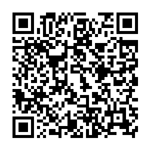 莫非这名小兄弟就是上一届佣兵比武大会取得第一名成绩的佣兵之王二维码生成