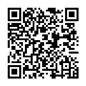 莫非这小鬼刚才那孤独又悲情的鬼生其实是骗人的··二维码生成