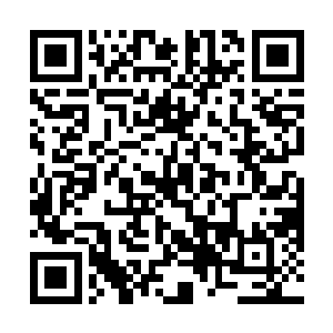 莫顿公爵站在府中最高建筑的窗户前看向外面的玄宇城二维码生成