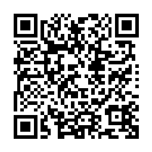 莱因哈特给他找的这间公寓的厨房里还有柴火和一些能吃的东西二维码生成
