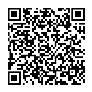 莱昂纳多一迪卡普里奥之类的名字现在都还不算是真正的演技高手二维码生成