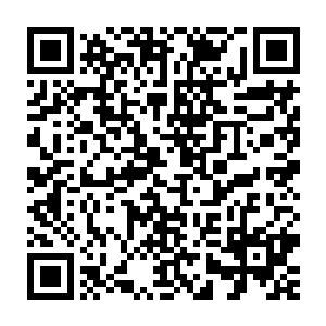 莱昂纳多到底是在故意恶作剧还是面对如此大场面没有经验就说实话了二维码生成