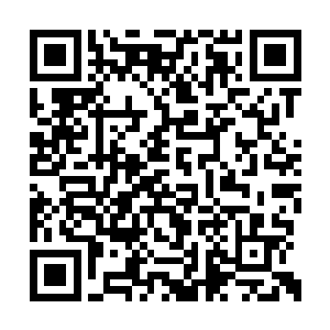 莱杰的小丑被加挂的安全带固定在货车集装箱上二维码生成
