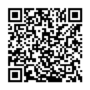 获得了龙珠力量的加持之后所变化成的第二形态二维码生成