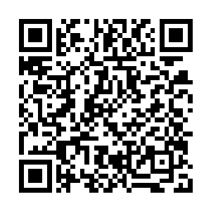 菩提果的果核也是用来炼制佛门法宝的绝佳材料二维码生成
