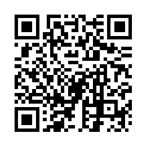 菲和大卫谈判的那个什么佩奇和谢尔盖二维码生成