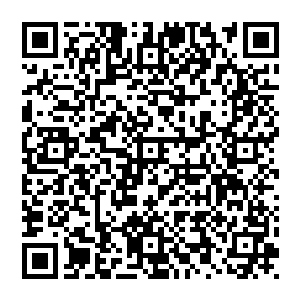 菲尼斯怒喝一声　大步上前　一帮子就朝着赵纯良挥舞了过去　赵纯良往后一养身　堪堪躲过狼牙棒的进攻二维码生成