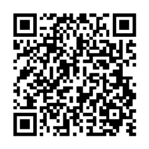 营门的守卫可是见过我们还有你们怎么就剩下三个人了二维码生成