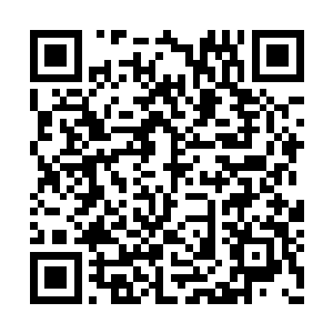 萧强看到好几个女生偷偷地冲着林彤竖起大拇指二维码生成