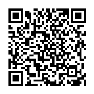 萧易似乎完全没有感觉到陈丽的语气之中的冷淡二维码生成