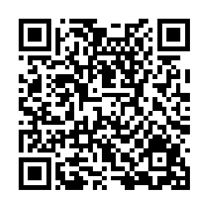 萧易无奈的望着看起来并不打算善罢甘休的林多多二维码生成