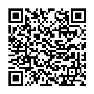 萧晨将自身灵魂异象与天穹间的火焰图融合在一起二维码生成