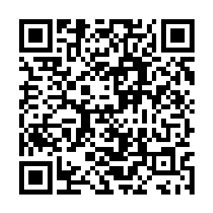 萧表少爷自从上回在花灯会上救过我家姑娘一命后二维码生成