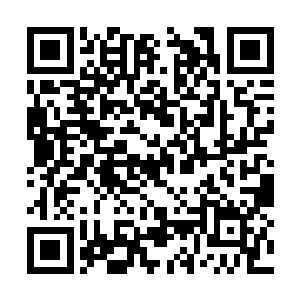 萧言久久注视着这个千年以前先祖创立的文明奇迹二维码生成