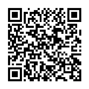萧霓裳颤颤巍巍的都不敢看小弄里的三四十条流浪犬二维码生成