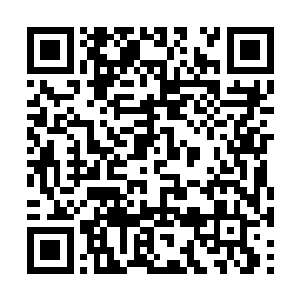 萧韵儿也没预料到这种西瓜兽的同伴意识会如此强二维码生成