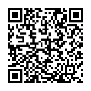 萧黎才后知后觉意识到宫女太监们几乎都已经挤满了殿门口二维码生成