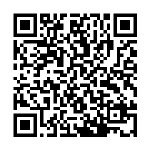 萨伦看看奥劳拉又看看那个装着50万金币的金票夹二维码生成