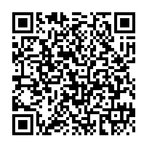 萨利姆极是热情而喜悦的声音听起来他恨不得从电话里爬出来一样二维码生成