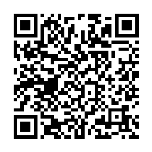 萨尔维也是找了珍妮和希斯这两个比较出名的体验派来二维码生成