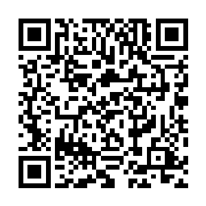 萱儿快不行了……能见舅舅最后一面……真好……真……二维码生成