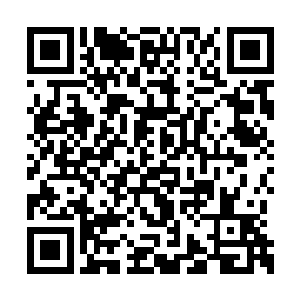 萱需要先生在十日之内将二十万担粮食运往京城二维码生成