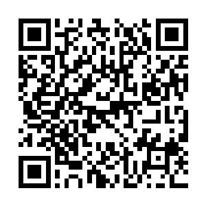 落入了变异生物的包围圈里面……都送到屠刀之下二维码生成