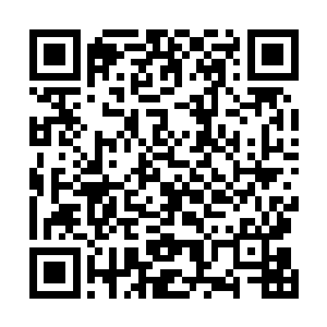 落出了里面隐藏的物体--那是一只来自远古的猛犸巨象二维码生成