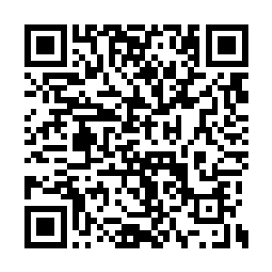 落到两人面前时赫然变成了一只面貌狰狞的虫兽二维码生成