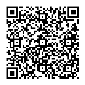 落在这个狂神秘境中已经不知道多少个年代了……它在秘境中也绝对吸收了相当多的血气了二维码生成