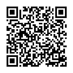 落日的余晖在海面上映出长长的波光粼粼的红影二维码生成