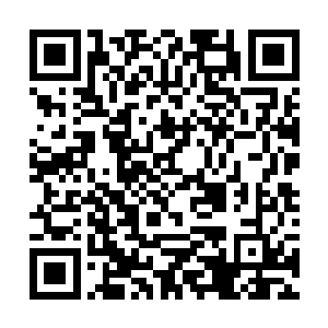 落阳的幻术瞬间将冷清贞拉进了他所创造的世界之中二维码生成