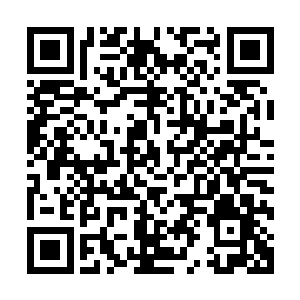 落阳的界在逼退冷清贞那一线界的同时向着冷清贞笼罩了过去二维码生成
