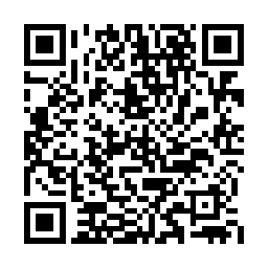 董媛媛的父亲对着其中哭的最轻的一位妇女说道二维码生成