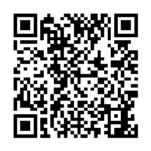 董小忍于是就和君陌非手拉着手坐在沙发上看着电视节目二维码生成