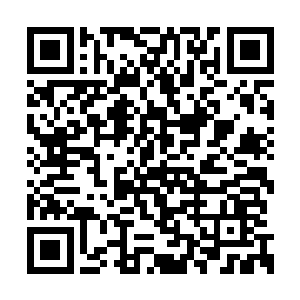 董悦婷这个小女人是怎么在短短一个月弄出来的二维码生成