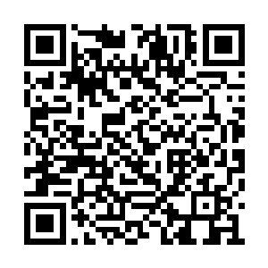 董正荣给他派来的是这样一个不知所谓的小姑娘二维码生成