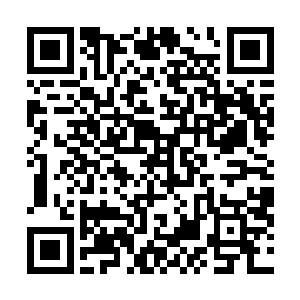 葬花宫宫主所说的战场的级别足以让战争天船都不能无视二维码生成