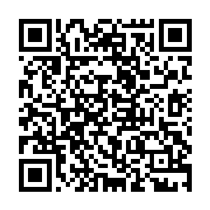 蒋老师肯定说了让小太阳参加奥利匹克数学竞赛的事二维码生成