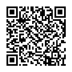 蒋钦和袁琳看来真是对花城的海鲜烧烤思念良久二维码生成