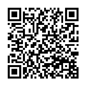 蒙家的车队带着一辆载着民工的小面包开向了城西的将军山二维码生成