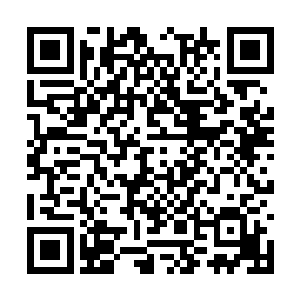 蒲信圭虽然并不清楚陈霜燃是如何聚拢的这些高手二维码生成
