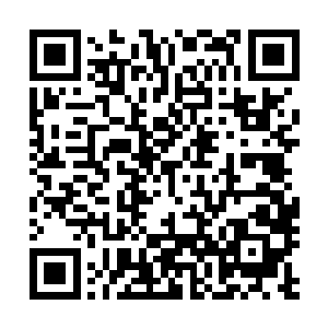 蓝兰实在想不到有什么理由让帝王面在西湖美食节败落阵来二维码生成